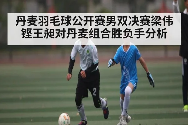 丹麦羽毛球公开赛男双决赛梁伟铿王昶对丹麦组合胜负手分析