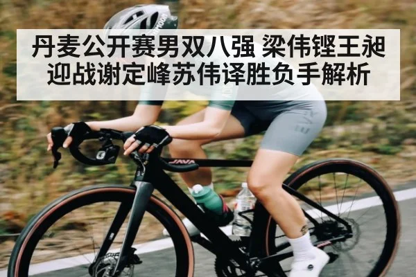 丹麦公开赛男双八强 梁伟铿王昶迎战谢定峰苏伟译胜负手解析